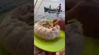 Makan udang mantis yang mirip lipan