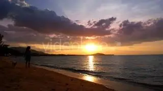 Stock Footage - Woman Running with a Dog at Sunset | VideoHive