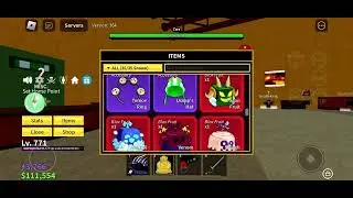 My inventory in blox fruit