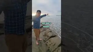 petroleo en la playa, lo quitamos?