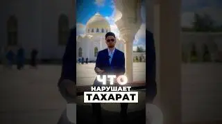 Полное видео тут 👆👆👆