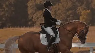 Выездка. Элементы/фигуры/одежда всадника/амуниция лошади