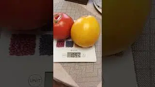 Помидорчики))#овощи #помидоры #вкусно #сад