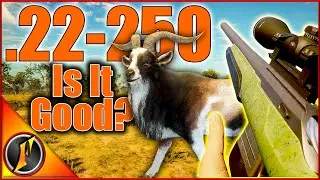 Field Testing the NEW .22-250! | How Good Is It???