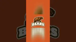 Bbear sport team logo animation #shorts  #intro #logoanimation