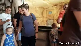Зоопарк гипермаркета 