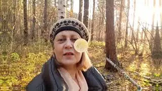 Осенняя прогулка