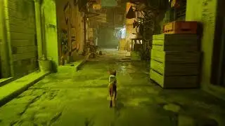 Stray ➤ Все ноты
