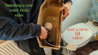 Toilet repair. DIY.