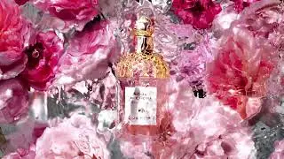 GUERLAIN AQUA ALLEGORIA COLLECTION