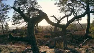 Segersgärde in 4k