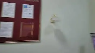 Прямой эфир #Разоблачено