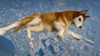 Crashes & Jumps Ragdolls GTA V Dog CRAZY MOMENTS (Euphoria physics) 4k full graphics mod