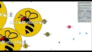 Agar.io noob montage