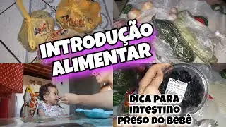 comprinhas da semana + INTRODUÇÃO ALIMENTAR/ fiz papinha| Thaiane Massarim