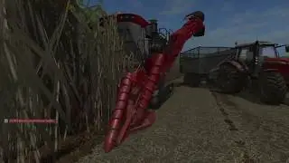 XLFarms X1 - Sugarcane #13