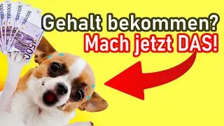 Mach DAS sobald Du Gehalt bekommen hast!🐶7 Schritte zur finanziellen Freiheit.