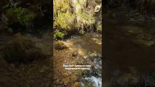 Емурлинский водопад в мае. #горныйалтай #индивидуальныетурынаавто #алтайвесной
