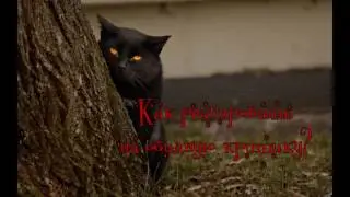 Как реагировать на обидную критику?