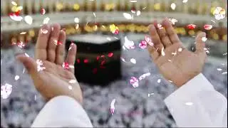 درود ناریہ #hafizsaqibarifnaqeebi #new #arbic #beautiful #daroodsharif