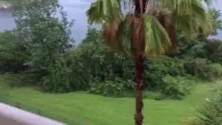 Hurricane Matthew: live from Orlando Florida, first light, damage assessment.