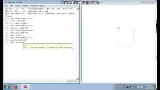 How to use turtle in Python