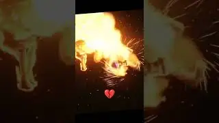узи и кот в сапогах #дроныубийцы #рекомендации #edit#узи#котвсапогах