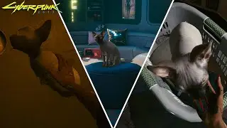 Cyberpunk 2077 - Getting Nibbles the Secret Pet Cat (Plus ALL THE PLACES He Spawns in V's Apartment)