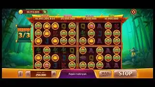 WILD PANDA HIGGS DOMINO