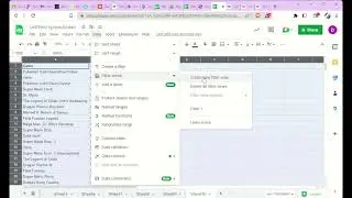 Spreadsheet 2 (INF2080) 4.4.2: Two component filter sort