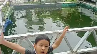 pagi yang cerah