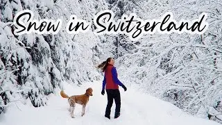 ESCAPE TO NARNIA ❄ Winter Hiking in Switzerland ❄ Snow, Lakes & Swiss Alps Scenery