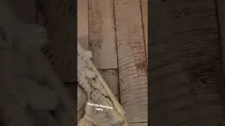 #passion