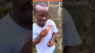 जादुई फॉग 