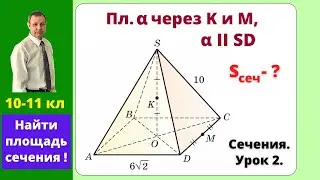 Сечение Пирамиды Плоскостью Параллельной боковому ребру