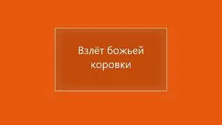 Взлёт божьей коровки - замедленная съемка начала полёта