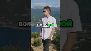 Смешной Паша Воля и его любимая аудитория