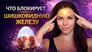 Шишковидная железа и ее роль в развитии интуиции. Кальцинирование и Активация Шишковидной железы