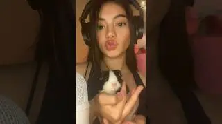 ASMR Guinea Pig 🐹 