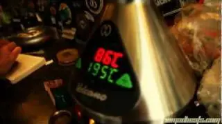 NOMAD IN AMSTERDAM 4 pt 4 Vaporized @ the Grey Area Coffee Shop