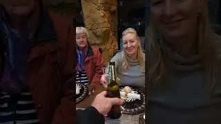 The best dinner guests 🦁🦁 #australia #lion #viral #short #dinner #food #travel  #beer