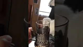 В поезде со знаменитостью 