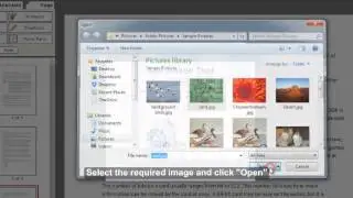 Inserting Image