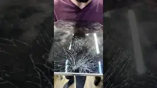 Живучее яблоко попалось🫠