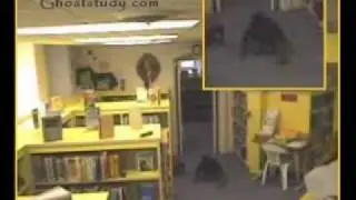 Recopilacion de Videos Y Fotografias de Fantasmas y Extraterrestres.