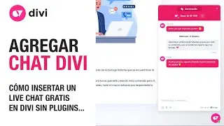 Cómo insertar un chat en línea (livechat) gratis en tu sitio web de divi con Crisp Chat sin plugins