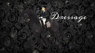 Dressage //B̸олченo̸к// чит описание