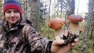 Шикарное начало