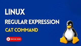 6.  CAT Command in Linux | LINUX