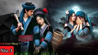 Lub Kua Muag Ntshav Ntu. 3 _ Dab neeg kev hlub 3/11/2025